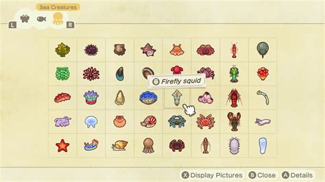 how to get sea creatures animal crossing